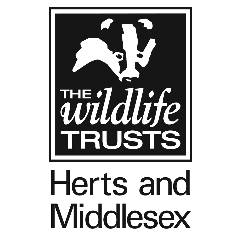 tue 2nd june 2020 at 18 30